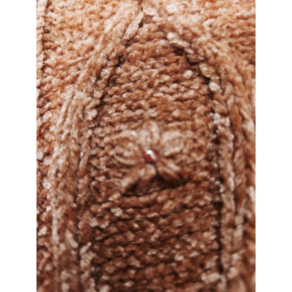 Alfred Dunner Rustic Red Cable Knit Collared Sweater Size XL Floral Accents - Picture 5 of 9